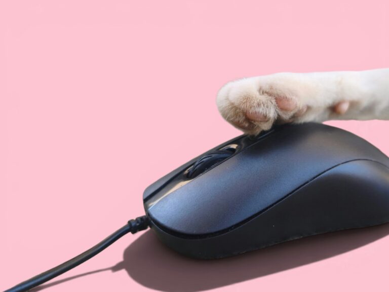 A cat's paw resting on a computer mouse against a pink background